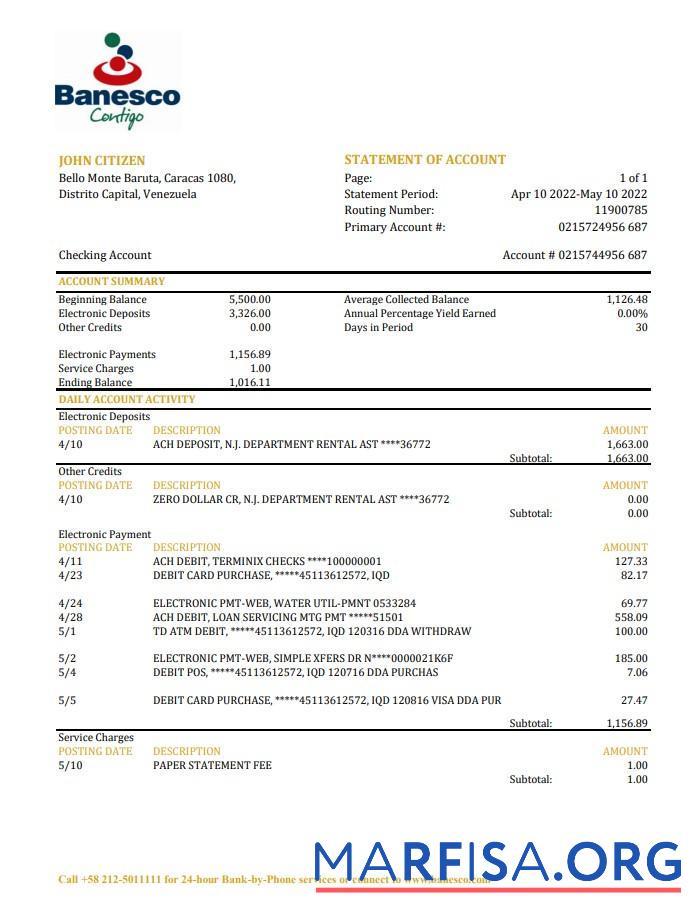 Blank Venezuela Banesco bank statement excel real example